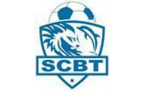 S. C. BRON TERRAILLON PERLE